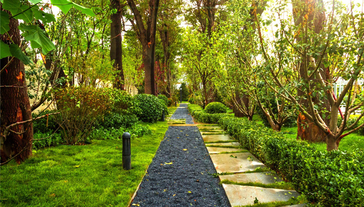 保利  ▏太原 ● 茉莉公館園林景觀工程