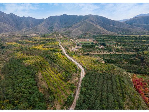 國(guó)內(nèi)園林綠化苗木產(chǎn)業(yè)哪家強(qiáng)？附花木區(qū)域分布說明